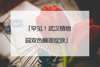罕见！武汉植物园双色睡莲绽放