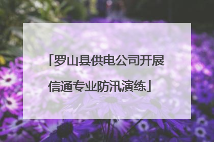 罗山县供电公司开展信通专业防汛演练