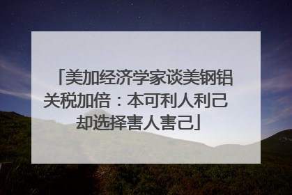 美加经济学家谈美钢铝关税加倍：本可利人利己 却选择害人害己