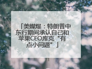 美媒爆：特朗普中东行期间承认自己和苹果CEO库克“有点小问题”