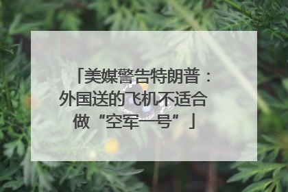 美媒警告特朗普：外国送的飞机不适合做“空军一号”