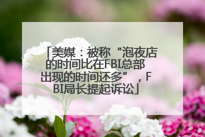 美媒：被称“泡夜店的时间比在FBI总部出现的时间还多”，FBI局长提起诉讼