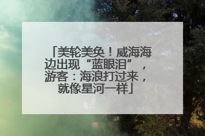 美轮美奂！威海海边出现“蓝眼泪”，游客：海浪打过来，就像星河一样
