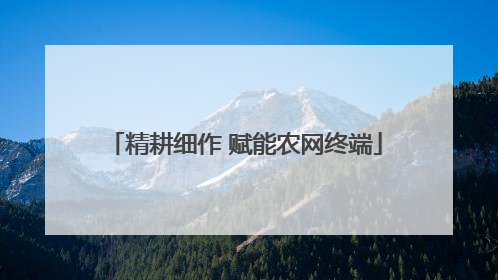 精耕细作 赋能农网终端