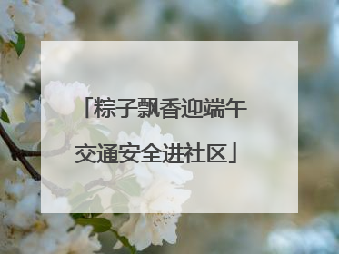 粽子飘香迎端午 交通安全进社区