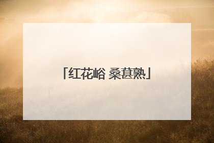 红花峪 桑葚熟