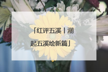 红评五溪丨潮起五溪绘新篇