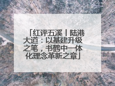 红评五溪丨陆港大道：以基建升级之笔，书鹤中一体化理念革新之章