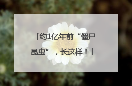 约1亿年前“僵尸昆虫”，长这样！