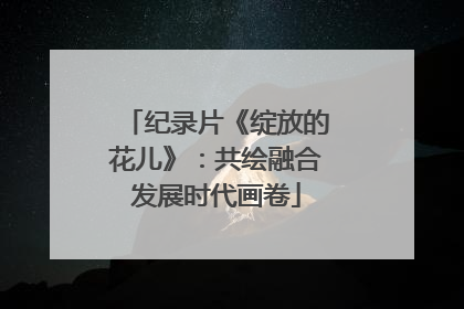 纪录片《绽放的花儿》：共绘融合发展时代画卷