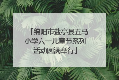 绵阳市盐亭县五马小学六一儿童节系列活动圆满举行