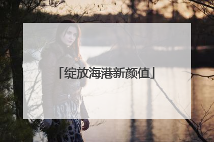 绽放海港新颜值