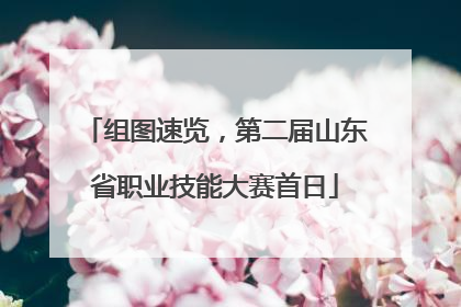 组图速览，第二届山东省职业技能大赛首日