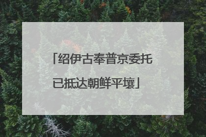 绍伊古奉普京委托已抵达朝鲜平壤