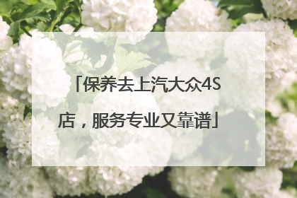 保养去上汽大众4S店，服务专业又靠谱