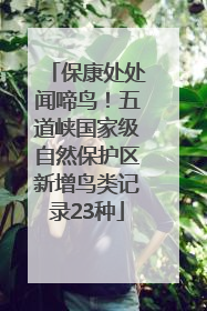 保康处处闻啼鸟！五道峡国家级自然保护区新增鸟类记录23种