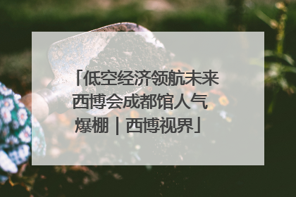 低空经济领航未来 西博会成都馆人气爆棚｜西博视界