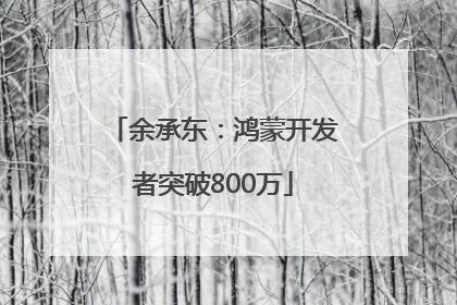 余承东：鸿蒙开发者突破800万