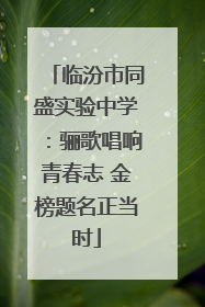 临汾市同盛实验中学：骊歌唱响青春志 金榜题名正当时