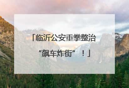 临沂公安重拳整治“飙车炸街”！