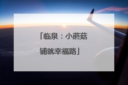 临泉：小蘑菇铺就幸福路