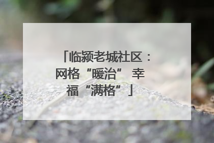 临颍老城社区：网格“暖治” 幸福“满格”