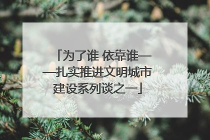 为了谁 依靠谁——扎实推进文明城市建设系列谈之一