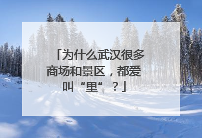 为什么武汉很多商场和景区，都爱叫“里”？