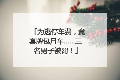 为逃停车费，竟套牌包月车……三名男子被罚！