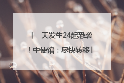 一天发生24起恐袭！中使馆：尽快转移