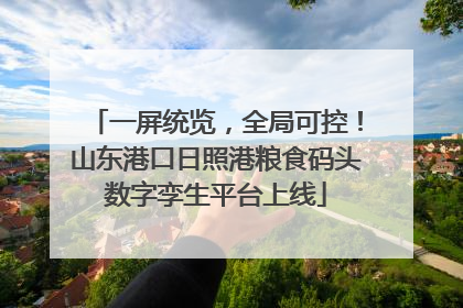 一屏统览，全局可控！山东港口日照港粮食码头数字孪生平台上线