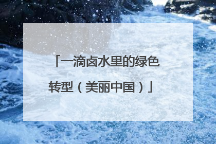 一滴卤水里的绿色转型（美丽中国）