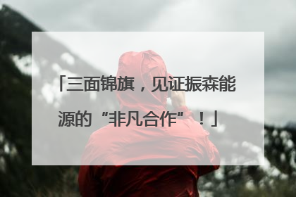 三面锦旗，见证振森能源的“非凡合作”！