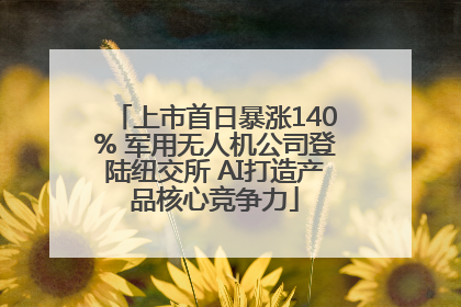 上市首日暴涨140% 军用无人机公司登陆纽交所 AI打造产品核心竞争力