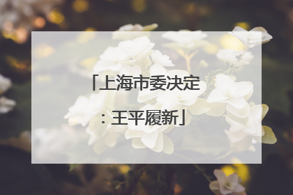 上海市委决定：王平履新