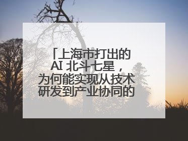 上海市打出的 AI 北斗七星，为何能实现从技术研发到产业协同的闭环生态