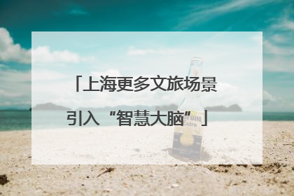 上海更多文旅场景引入“智慧大脑”