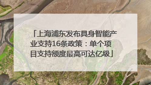 上海浦东发布具身智能产业支持16条政策：单个项目支持额度最高可达亿级