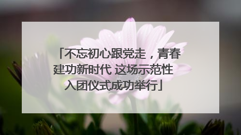 不忘初心跟党走，青春建功新时代 这场示范性入团仪式成功举行