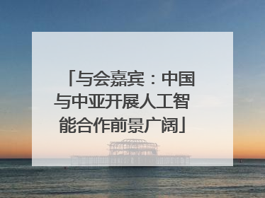 与会嘉宾：中国与中亚开展人工智能合作前景广阔