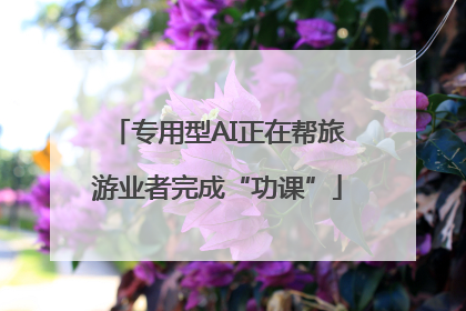 专用型AI正在帮旅游业者完成“功课”