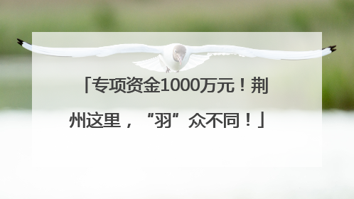 专项资金1000万元！荆州这里，“羽”众不同！