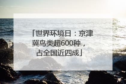 世界环境日：京津冀鸟类超600种，占全国近四成