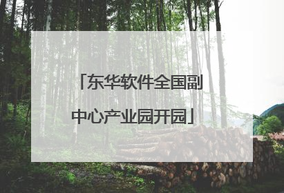 东华软件全国副中心产业园开园