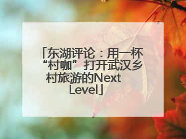 东湖评论：用一杯“村咖”打开武汉乡村旅游的Next Level