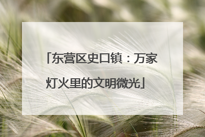 东营区史口镇：万家灯火里的文明微光