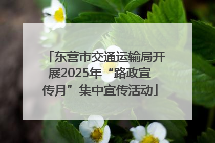 东营市交通运输局开展2025年“路政宣传月”集中宣传活动