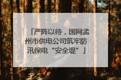 严阵以待，国网孟州市供电公司筑牢防汛保电“安全堤”