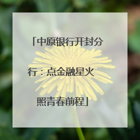 中原银行开封分行：点金融星火 照青春前程
