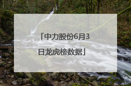 中力股份6月3日龙虎榜数据